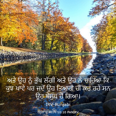 Picture 03 - ਰਸੂਲਾਂ ਦੇ ਕਰਤੱਬ 10:10 PANIRV - ਅਤੇ ਉਹ ਨੂੰ ਭੁੱਖ - Bible Verse Picture