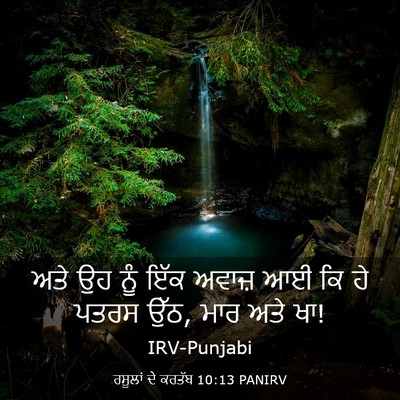 Picture 03 - ਰਸੂਲਾਂ ਦੇ ਕਰਤੱਬ 10:13 PANIRV - ਅਤੇ ਉਹ ਨੂੰ ਇੱਕ - Bible Verse Picture
