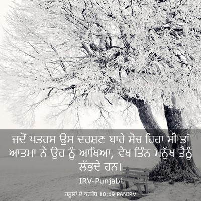 Picture 03 - ਰਸੂਲਾਂ ਦੇ ਕਰਤੱਬ 10:19 PANIRV - ਜਦੋਂ ਪਤਰਸ ਉਸ ਦਰਸ਼ਣ - Bible Verse Picture