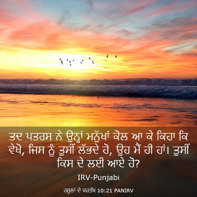 Picture 03 - ਰਸੂਲਾਂ ਦੇ ਕਰਤੱਬ 10:21 PANIRV - ਤਦ ਪਤਰਸ ਨੇ ਉਨ੍ਹਾਂ - Bible Verse Picture