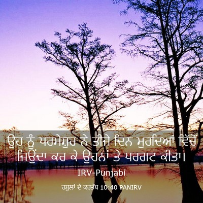 Picture 03 - ਰਸੂਲਾਂ ਦੇ ਕਰਤੱਬ 10:40 PANIRV - ਉਹ ਨੂੰ ਪਰਮੇਸ਼ੁਰ ਨੇ - Bible Verse Picture