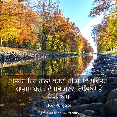 Picture 03 - ਰਸੂਲਾਂ ਦੇ ਕਰਤੱਬ 10:44 PANIRV - ਪਤਰਸ ਇਹ ਗੱਲਾਂ ਕਰਦਾ - Bible Verse Picture