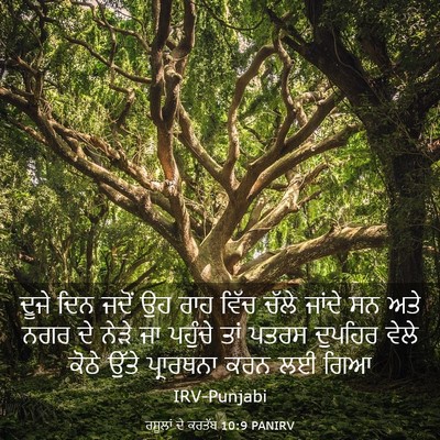 Picture 03 - ਰਸੂਲਾਂ ਦੇ ਕਰਤੱਬ 10:9 PANIRV - ਦੂਜੇ ਦਿਨ ਜਦੋਂ ਉਹ - Bible Verse Picture