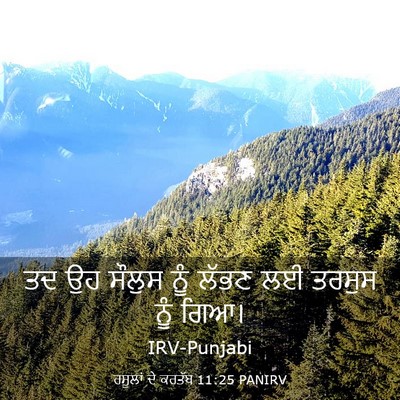 Picture 03 - ਰਸੂਲਾਂ ਦੇ ਕਰਤੱਬ 11:25 PANIRV - ਤਦ ਉਹ ਸੌਲੁਸ ਨੂੰ - Bible Verse Picture