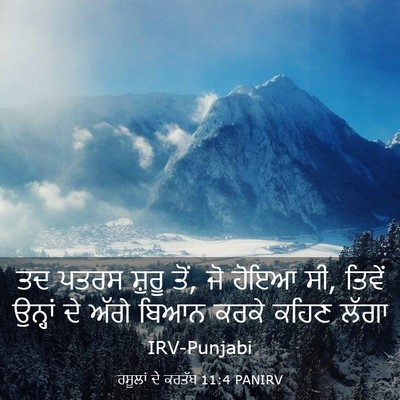 Picture 03 - ਰਸੂਲਾਂ ਦੇ ਕਰਤੱਬ 11:4 PANIRV - ਤਦ ਪਤਰਸ ਸ਼ੁਰੂ ਤੋਂ, - Bible Verse Picture