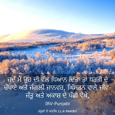 Picture 03 - ਰਸੂਲਾਂ ਦੇ ਕਰਤੱਬ 11:6 PANIRV - ਜਦੋਂ ਮੈਂ ਉਹ ਦੀ ਵੱਲ - Bible Verse Picture