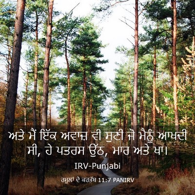 Picture 03 - ਰਸੂਲਾਂ ਦੇ ਕਰਤੱਬ 11:7 PANIRV - ਅਤੇ ਮੈਂ ਇੱਕ ਅਵਾਜ਼ - Bible Verse Picture