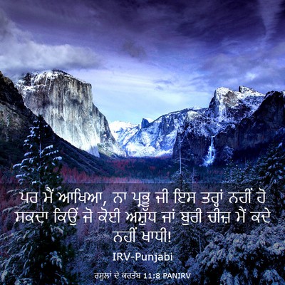 Picture 03 - ਰਸੂਲਾਂ ਦੇ ਕਰਤੱਬ 11:8 PANIRV - ਪਰ ਮੈਂ ਆਖਿਆ, ਨਾ - Bible Verse Picture