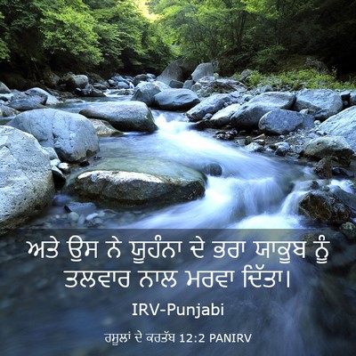 Picture 03 - ਰਸੂਲਾਂ ਦੇ ਕਰਤੱਬ 12:2 PANIRV - ਅਤੇ ਉਸ ਨੇ ਯੂਹੰਨਾ ਦੇ - Bible Verse Picture