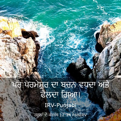Picture 03 - ਰਸੂਲਾਂ ਦੇ ਕਰਤੱਬ 12:24 PANIRV - ਪਰ ਪਰਮੇਸ਼ੁਰ ਦਾ ਬਚਨ - Bible Verse Picture