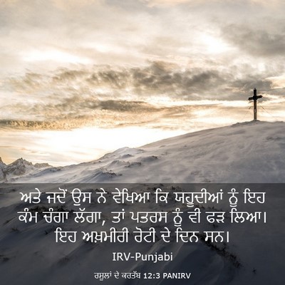 Picture 03 - ਰਸੂਲਾਂ ਦੇ ਕਰਤੱਬ 12:3 PANIRV - ਅਤੇ ਜਦੋਂ ਉਸ ਨੇ - Bible Verse Picture
