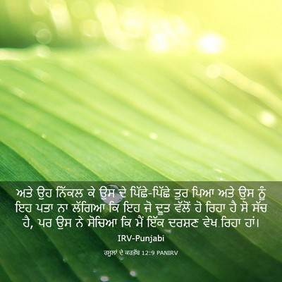 Picture 03 - ਰਸੂਲਾਂ ਦੇ ਕਰਤੱਬ 12:9 PANIRV - ਅਤੇ ਉਹ ਨਿੱਕਲ ਕੇ ਉਸ - Bible Verse Picture