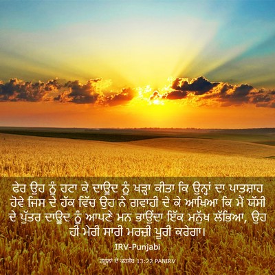 Picture 03 - ਰਸੂਲਾਂ ਦੇ ਕਰਤੱਬ 13:22 PANIRV - ਫੇਰ ਉਹ ਨੂੰ ਹਟਾ ਕੇ - Bible Verse Picture