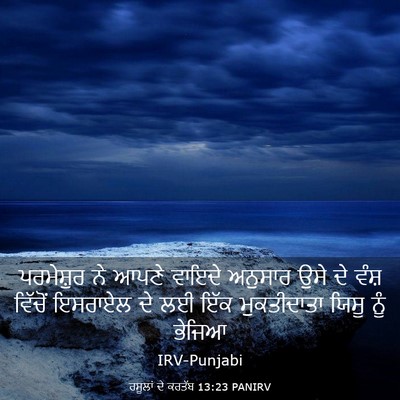 Picture 03 - ਰਸੂਲਾਂ ਦੇ ਕਰਤੱਬ 13:23 PANIRV - ਪਰਮੇਸ਼ੁਰ ਨੇ ਆਪਣੇ - Bible Verse Picture