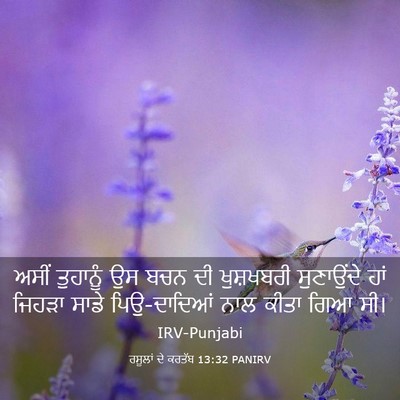 Picture 03 - ਰਸੂਲਾਂ ਦੇ ਕਰਤੱਬ 13:32 PANIRV - ਅਸੀਂ ਤੁਹਾਨੂੰ ਉਸ - Bible Verse Picture