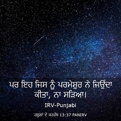 Picture 03 - ਰਸੂਲਾਂ ਦੇ ਕਰਤੱਬ 13:37 PANIRV - ਪਰ ਇਹ ਜਿਸ ਨੂੰ - Bible Verse Picture