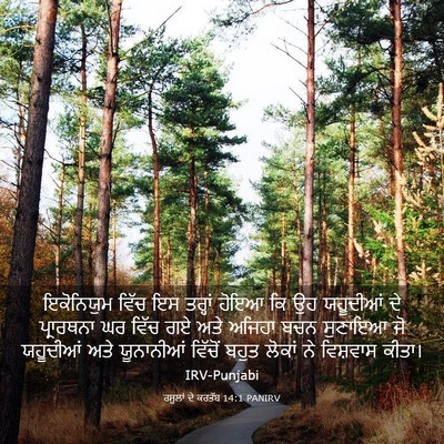 Picture 03 - ਰਸੂਲਾਂ ਦੇ ਕਰਤੱਬ 14:1 PANIRV - ਇਕੋਨਿਯੁਮ ਵਿੱਚ ਇਸ - Bible Verse Picture