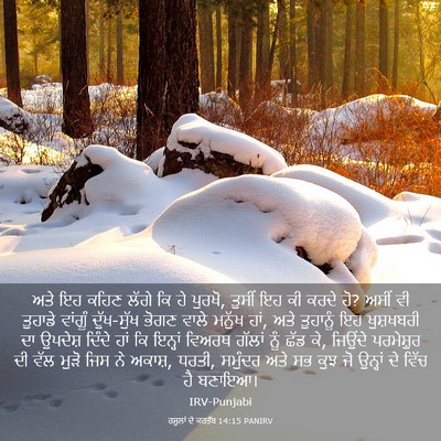 Picture 03 - ਰਸੂਲਾਂ ਦੇ ਕਰਤੱਬ 14:15 PANIRV - ਅਤੇ ਇਹ ਕਹਿਣ ਲੱਗੇ ਕਿ - Bible Verse Picture