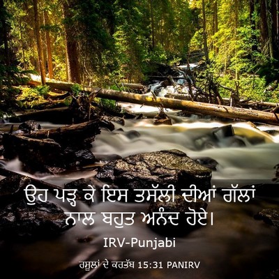 Picture 03 - ਰਸੂਲਾਂ ਦੇ ਕਰਤੱਬ 15:31 PANIRV - ਉਹ ਪੜ੍ਹ ਕੇ ਇਸ ਤਸੱਲੀ - Bible Verse Picture