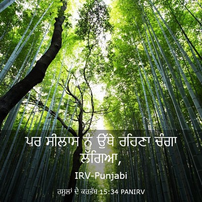 Picture 03 - ਰਸੂਲਾਂ ਦੇ ਕਰਤੱਬ 15:34 PANIRV - ਪਰ ਸੀਲਾਸ ਨੂੰ ਉੱਥੇ - Bible Verse Picture