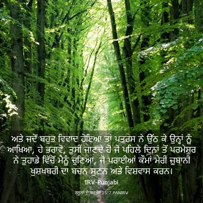 Picture 03 - ਰਸੂਲਾਂ ਦੇ ਕਰਤੱਬ 15:7 PANIRV - ਅਤੇ ਜਦੋਂ ਬਹੁਤ - Bible Verse Picture