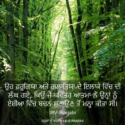Picture 03 - ਰਸੂਲਾਂ ਦੇ ਕਰਤੱਬ 16:6 PANIRV - ਉਹ ਫ਼ਰੂਗਿਯਾ ਅਤੇ - Bible Verse Picture