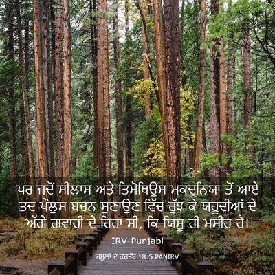 Picture 03 - ਰਸੂਲਾਂ ਦੇ ਕਰਤੱਬ 18:5 PANIRV - ਪਰ ਜਦੋਂ ਸੀਲਾਸ ਅਤੇ - Bible Verse Picture