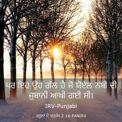 Picture 03 - ਰਸੂਲਾਂ ਦੇ ਕਰਤੱਬ 2:16 PANIRV - ਪਰ ਇਹ ਉਹ ਗੱਲ ਹੈ ਜੋ - Bible Verse Picture