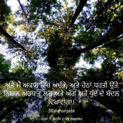 Picture 03 - ਰਸੂਲਾਂ ਦੇ ਕਰਤੱਬ 2:19 PANIRV - ਅਤੇ ਮੈਂ ਅਕਾਸ਼ ਵਿੱਚ - Bible Verse Picture