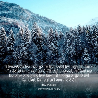 Picture 03 - ਰਸੂਲਾਂ ਦੇ ਕਰਤੱਬ 2:22 PANIRV - ਹੇ ਇਸਰਾਏਲੀਓ ਇਹ - Bible Verse Picture