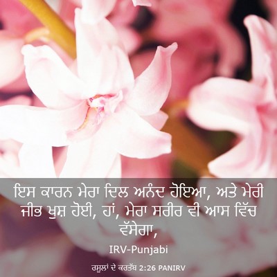 Picture 03 - ਰਸੂਲਾਂ ਦੇ ਕਰਤੱਬ 2:26 PANIRV - ਇਸ ਕਾਰਨ ਮੇਰਾ ਦਿਲ - Bible Verse Picture