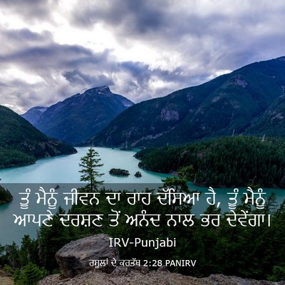 Picture 03 - ਰਸੂਲਾਂ ਦੇ ਕਰਤੱਬ 2:28 PANIRV - ਤੂੰ ਮੈਨੂੰ ਜੀਵਨ ਦਾ - Bible Verse Picture