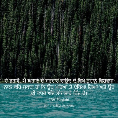 Picture 03 - ਰਸੂਲਾਂ ਦੇ ਕਰਤੱਬ 2:29 PANIRV - ਹੇ ਭਰਾਵੋ, ਮੈਂ ਘਰਾਣੇ - Bible Verse Picture