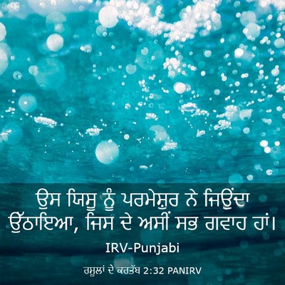 Picture 03 - ਰਸੂਲਾਂ ਦੇ ਕਰਤੱਬ 2:32 PANIRV - ਉਸ ਯਿਸੂ ਨੂੰ - Bible Verse Picture