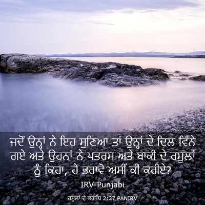 Picture 03 - ਰਸੂਲਾਂ ਦੇ ਕਰਤੱਬ 2:37 PANIRV - ਜਦੋਂ ਉਨ੍ਹਾਂ ਨੇ ਇਹ - Bible Verse Picture