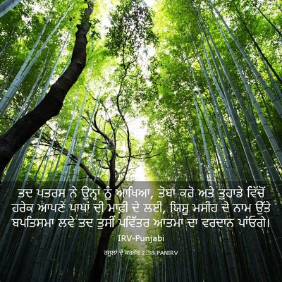 Picture 03 - ਰਸੂਲਾਂ ਦੇ ਕਰਤੱਬ 2:38 PANIRV - ਤਦ ਪਤਰਸ ਨੇ ਉਨ੍ਹਾਂ - Bible Verse Picture