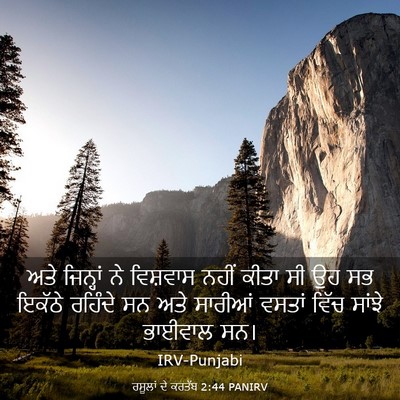 Picture 03 - ਰਸੂਲਾਂ ਦੇ ਕਰਤੱਬ 2:44 PANIRV - ਅਤੇ ਜਿਨ੍ਹਾਂ ਨੇ - Bible Verse Picture