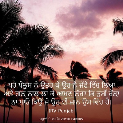 Picture 03 - ਰਸੂਲਾਂ ਦੇ ਕਰਤੱਬ 20:10 PANIRV - ਪਰ ਪੌਲੁਸ ਨੇ ਉਤਰ ਕੇ - Bible Verse Picture