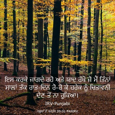 Picture 03 - ਰਸੂਲਾਂ ਦੇ ਕਰਤੱਬ 20:31 PANIRV - ਇਸ ਕਰਕੇ ਜਾਗਦੇ ਰਹੋ - Bible Verse Picture
