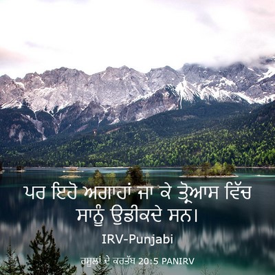 Picture 03 - ਰਸੂਲਾਂ ਦੇ ਕਰਤੱਬ 20:5 PANIRV - ਪਰ ਇਹੋ ਅਗਾਹਾਂ ਜਾ ਕੇ - Bible Verse Picture