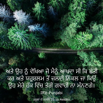Picture 03 - ਰਸੂਲਾਂ ਦੇ ਕਰਤੱਬ 22:18 PANIRV - ਅਤੇ ਉਹ ਨੂੰ ਵੇਖਿਆ ਜੋ - Bible Verse Picture