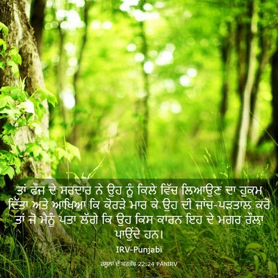 Picture 03 - ਰਸੂਲਾਂ ਦੇ ਕਰਤੱਬ 22:24 PANIRV - ਤਾਂ ਫੌਜ ਦੇ ਸਰਦਾਰ ਨੇ - Bible Verse Picture