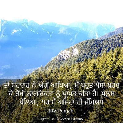 Picture 03 - ਰਸੂਲਾਂ ਦੇ ਕਰਤੱਬ 22:28 PANIRV - ਤਾਂ ਸਰਦਾਰ ਨੇ ਅੱਗੋਂ - Bible Verse Picture