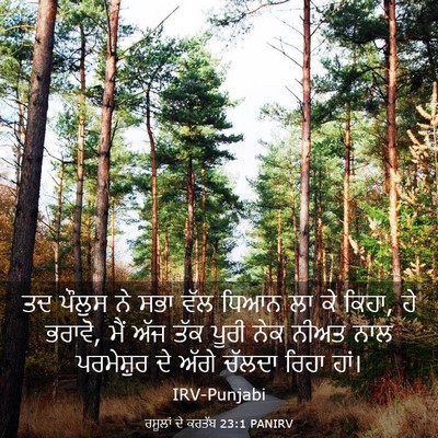 Picture 03 - ਰਸੂਲਾਂ ਦੇ ਕਰਤੱਬ 23:1 PANIRV - ਤਦ ਪੌਲੁਸ ਨੇ ਸਭਾ ਵੱਲ - Bible Verse Picture