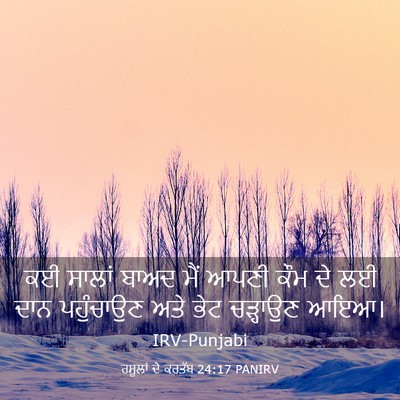 Picture 03 - ਰਸੂਲਾਂ ਦੇ ਕਰਤੱਬ 24:17 PANIRV - ਕਈ ਸਾਲਾਂ ਬਾਅਦ ਮੈਂ - Bible Verse Picture
