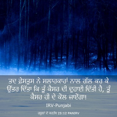 Picture 03 - ਰਸੂਲਾਂ ਦੇ ਕਰਤੱਬ 25:12 PANIRV - ਤਦ ਫ਼ੇਸਤੁਸ ਨੇ - Bible Verse Picture