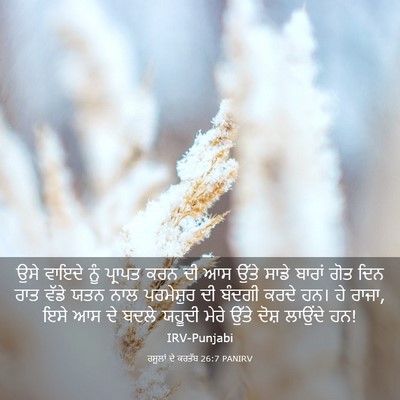 Picture 03 - ਰਸੂਲਾਂ ਦੇ ਕਰਤੱਬ 26:7 PANIRV - ਉਸੇ ਵਾਇਦੇ ਨੂੰ - Bible Verse Picture