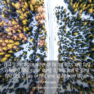Picture 03 - ਰਸੂਲਾਂ ਦੇ ਕਰਤੱਬ 27:34 PANIRV - ਸੋ ਮੈਂ ਤੁਹਾਡੀ - Bible Verse Picture