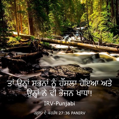 Picture 03 - ਰਸੂਲਾਂ ਦੇ ਕਰਤੱਬ 27:36 PANIRV - ਤਾਂ ਉਨ੍ਹਾਂ ਸਭਨਾਂ - Bible Verse Picture