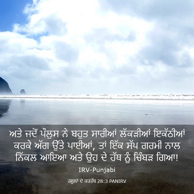 Picture 03 - ਰਸੂਲਾਂ ਦੇ ਕਰਤੱਬ 28:3 PANIRV - ਅਤੇ ਜਦੋਂ ਪੌਲੁਸ ਨੇ - Bible Verse Picture
